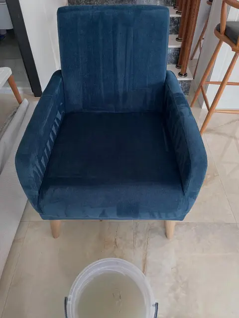 Lacivert berjer, yıkama sonrası — Bayraklı, İzmir